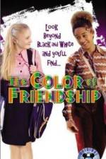 Watch The Color of Friendship 123MoviesFree