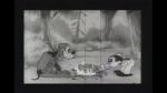 Watch Bosko\'s Dog Race 123MoviesFree