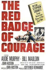 Watch The Red Badge of Courage 123MoviesFree