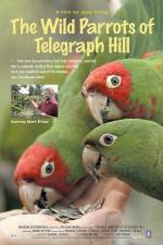 Watch The Wild Parrots of Telegraph Hill 123MoviesFree