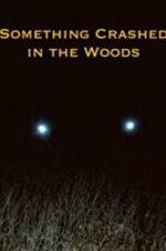 Watch Something Crashed in the Woods 123MoviesFree