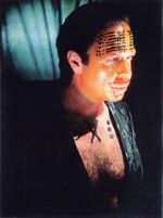 Watch The Age of Insects 123MoviesFree