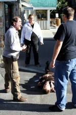 Watch Dead Stop 123MoviesFree