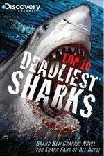 Watch National Geographic Worlds Deadliest Sharks 123MoviesFree