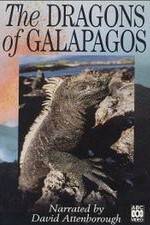 Watch The Dragons of Galapagos 123MoviesFree