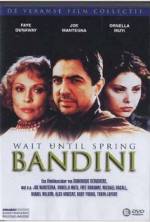 Watch Wait Until Spring, Bandini 123MoviesFree