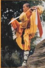 Watch National Geographic Kung Fu Secrets 123MoviesFree