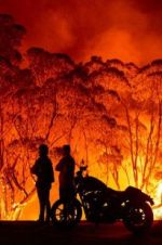 Watch Fire Fight Australia 123MoviesFree