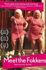Watch Meet the Fokkens 123MoviesFree