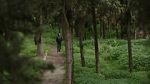 Watch My Tree 123MoviesFree