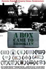 Watch A Box Came to Brooklyn 123MoviesFree