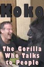 Watch Koko: The Gorilla Who Talks to People 123MoviesFree