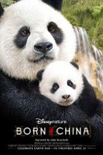Watch Born in China 123MoviesFree