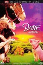 Watch Babe 123MoviesFree