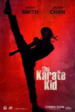 Watch The Karate Kid 123MoviesFree