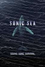 Watch Sonic Sea 123MoviesFree