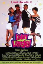 Watch Livin' Large 123MoviesFree