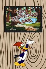 Watch The Redwood Sap (Short 1951) 123MoviesFree