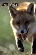 Watch Fox Wars 123MoviesFree