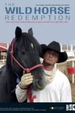 Watch The Wild Horse Redemption 123MoviesFree