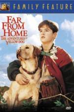 Watch Far from Home The Adventures of Yellow Dog 123MoviesFree