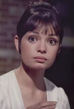 Watch Gidget Grows Up 123MoviesFree