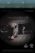 Watch A Vida Invis�vel 123MoviesFree