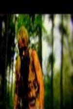 Watch The Legend of David 123MoviesFree