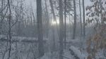 Watch Once There Was a Winter 123MoviesFree