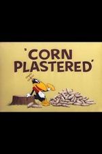 Watch Corn Plastered (Short 1951) 123MoviesFree
