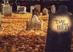 Watch The Day They Died 123MoviesFree