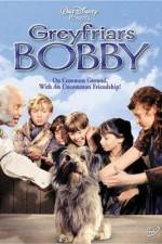 Watch Greyfriars Bobby The True Story of a Dog 123MoviesFree