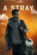 Watch A Stray 123MoviesFree