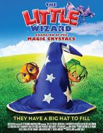 Watch The Little Wizard: Guardian of the Magic Crystals 123MoviesFree