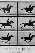 Watch Sallie Gardner at a Gallop 123MoviesFree