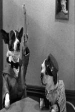 Watch The Two Barks Brothers 123MoviesFree