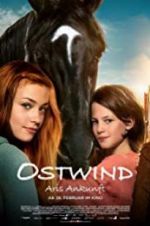 Watch Windstorm 4: Ari\'s Arrival 123MoviesFree