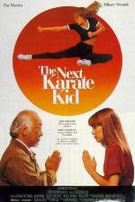 Watch The Next Karate Kid 123MoviesFree