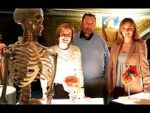 Watch Inside the Body of Henry VIII 123MoviesFree