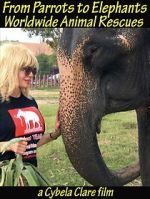 Watch From Parrots to Elephants: Worldwide Animal Rescues 123MoviesFree