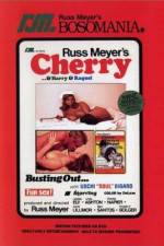 Watch Cherry Harry & Raquel 123MoviesFree