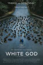 Watch Feh�r isten 123MoviesFree