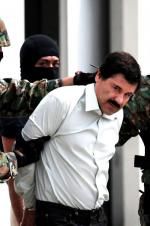 Watch The Rise and Fall of El Chapo 123MoviesFree