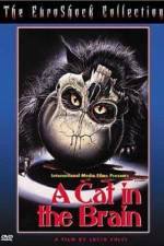 Watch Un gatto nel cervello 123MoviesFree