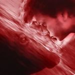 Watch We All Poop: All the Blood 123MoviesFree