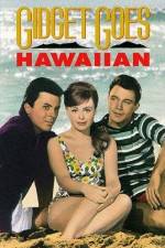 Watch Gidget Goes Hawaiian 123MoviesFree