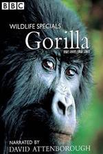 Watch Gorilla Revisited with David Attenborough 123MoviesFree