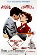 Watch Bundle of Joy 123MoviesFree