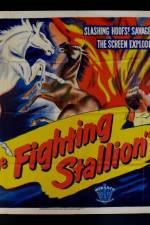Watch The Fighting Stallion 123MoviesFree