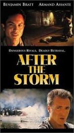 Watch After the Storm 123MoviesFree